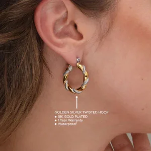 Golden Silver Twisted Hoop Earrings
